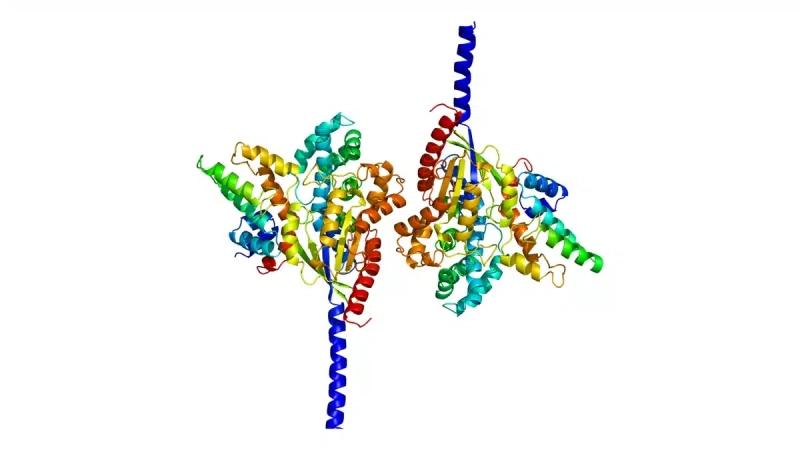 cb870914126f8c182187e86512a0c0df-6xawuv.jpg